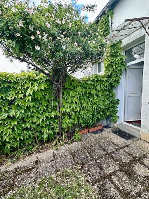 L'authentique - Maison Avec Jardin - 4 Personnes Le Mans